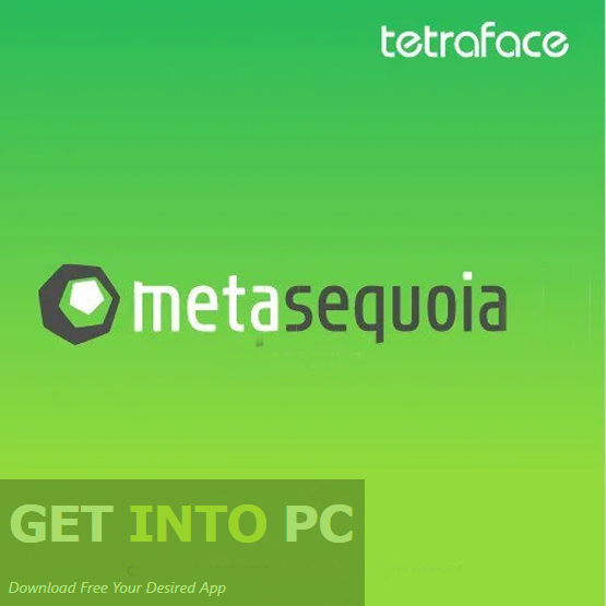 Tetraface Inc Metasequoia 2025
